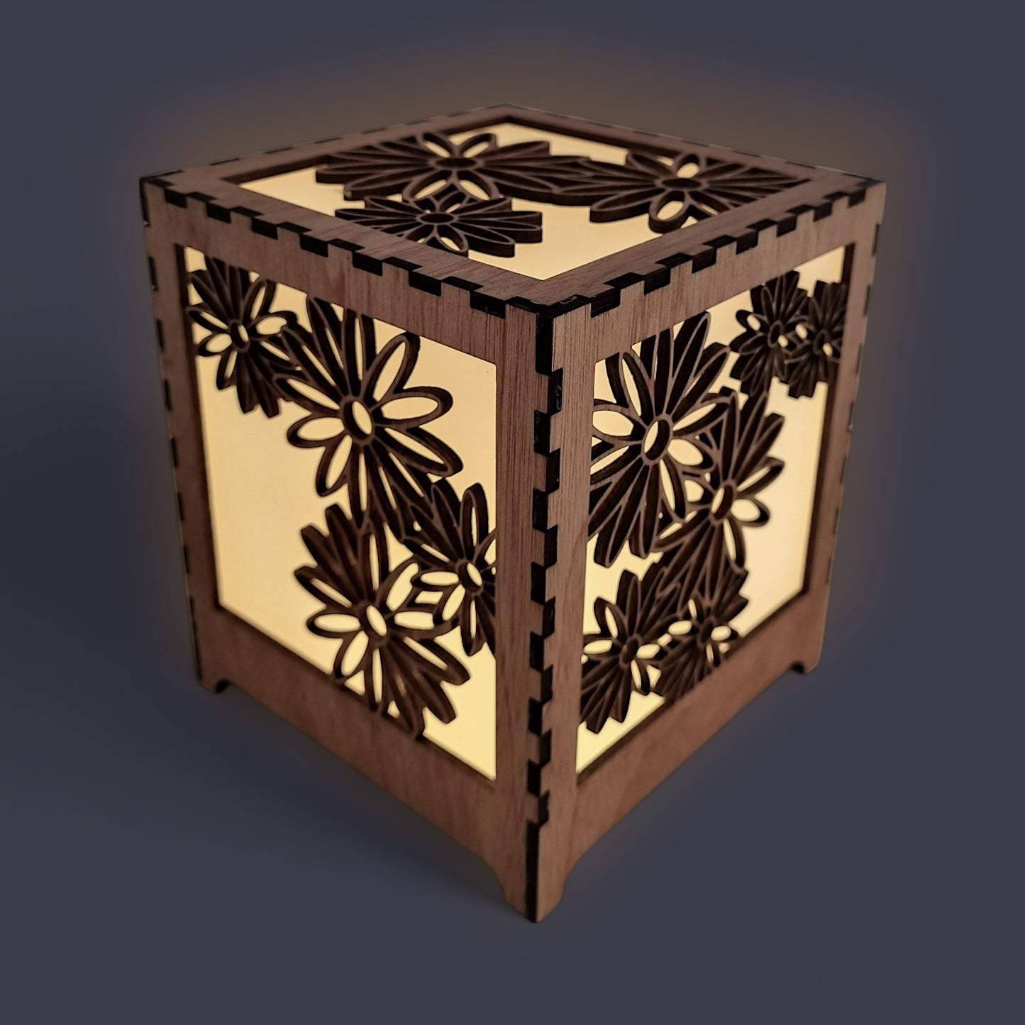 Daisy - Cube Light